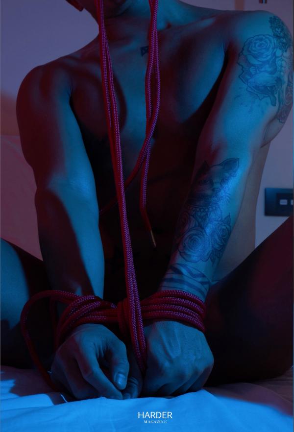 Harder-4